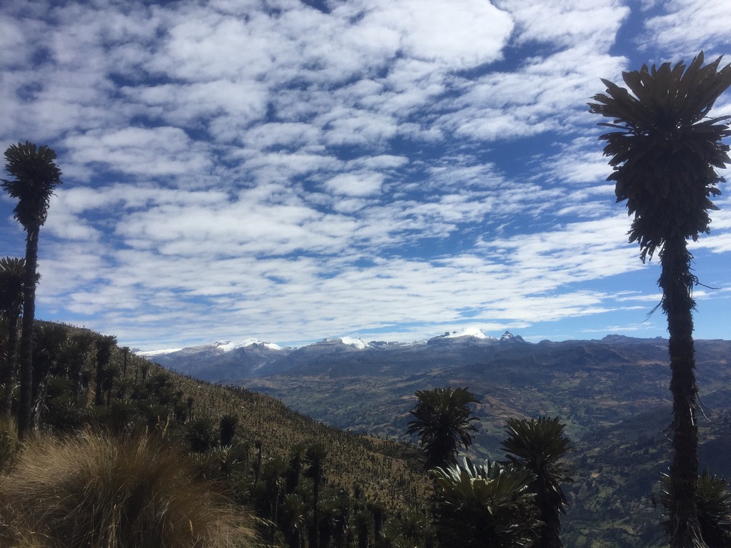 Sierra Nevada del Cocuy with frailejones